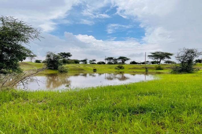 تسجيل تساقطات مطرية متفاوتة في عدة ولايات